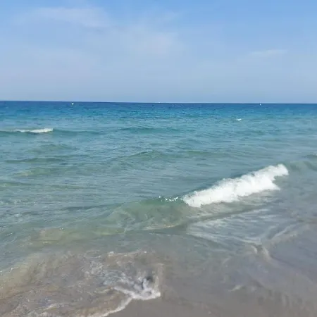 Dos Mares *